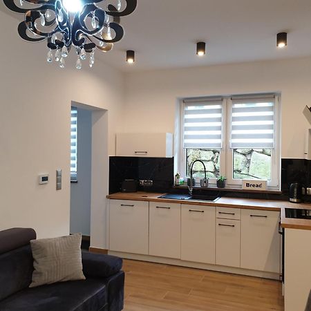 Villa Mila Apartamenty Karpacz Exterior photo