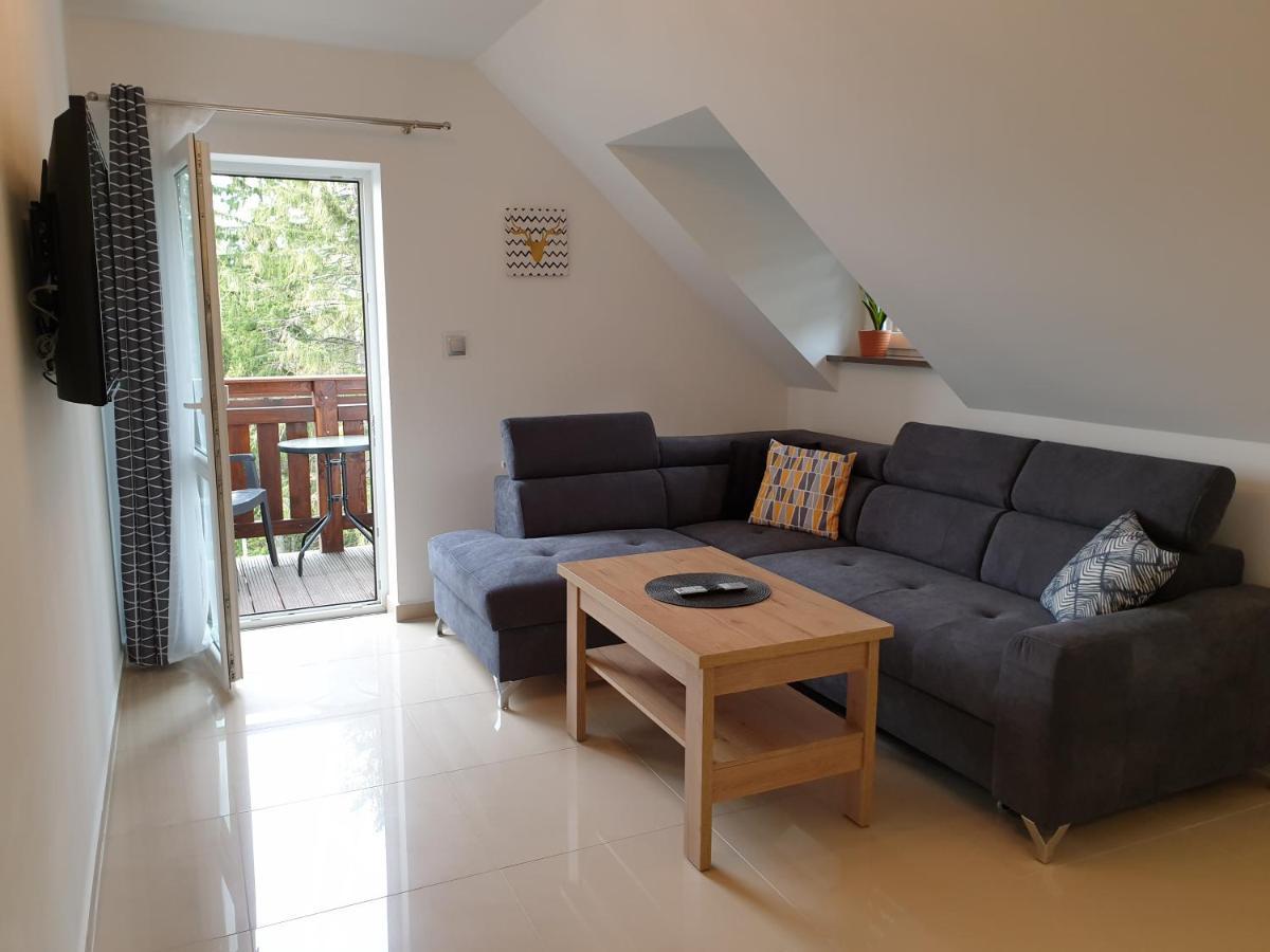 Villa Mila Apartamenty Karpacz Exterior photo